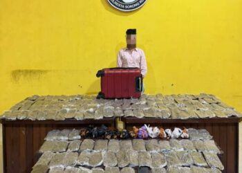 Polresta Sorong Kota Tangkap Seorang Kurir Perempuan Pembawa 5,4 Kg Ganja