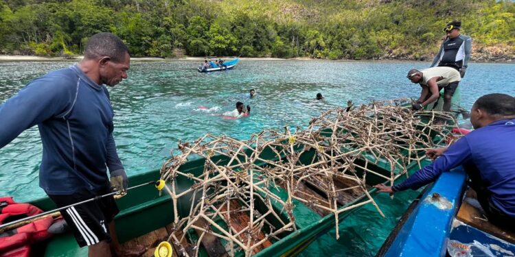 Sinergi Tiga Pilar Pulihkan Ekosistem Pulau Kawei, 100 Reefstar dan 980 Mangrove Ditanam