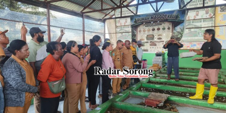 Olah Sampah Organik Jadi Pakan Ternak dan Pupuk, Dinas LH PBD Jadikan Klawalu Pilot Project Budidaya Maggot