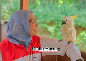 Berada di Daerah 3T, Malasigi Menawarkan Pengalaman Wisata di Tanah Moi