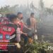 Dit Samapta Polda Papua Barat Daya Tangani Karhutla di Jalan Petrochina