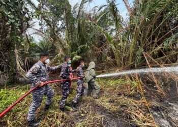 Tim Penanggulangan Kebakaran Kodaeral XIV Padamkan Karhutla di Lahan Gambut Warmon