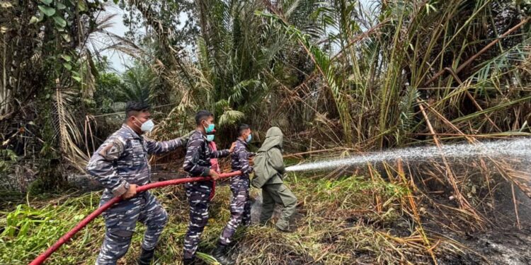 Tim Penanggulangan Kebakaran Kodaeral XIV Padamkan Karhutla di Lahan Gambut Warmon