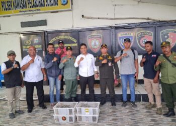 Ditpolairud Polda Papua Barat Daya Temukan 21 Ekor Nuri Hitam di KM Sinabung